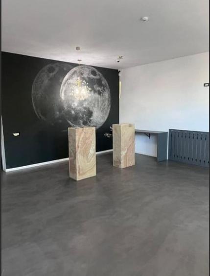 Delfinariu - bd. Mamaia, spatiu comercial , 325 mp. - 3