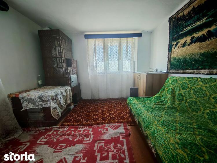 2 Case + teren 3233 mp Darmanesti Arges - 10