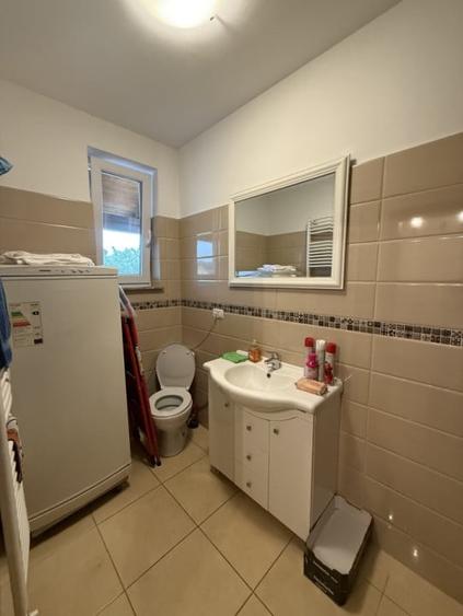 Triplex, 4 camere, 230mp utili, 335mp teren, mobilat - Dumbravita - 14