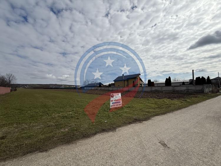 Teren de vanzare/Dudovicesti/Dolj - 3