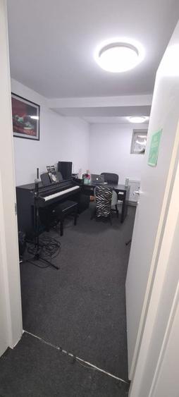 Apartamente in vila istorica Cismigiu - 6