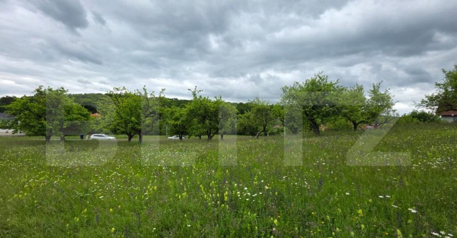 Teren intravilan, 34 ari intravilan, zona Unirea - 6