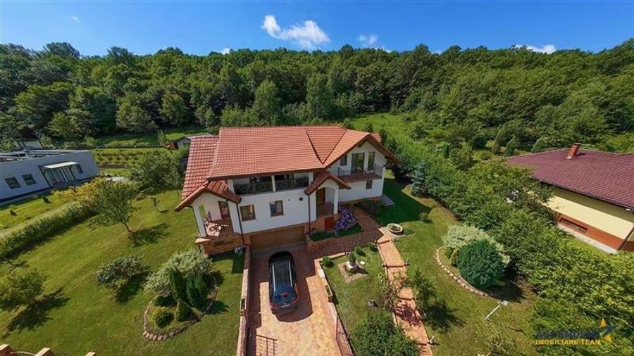 Refined ensemble, elite natural setting, 5 km from Corvin Castle. - 18