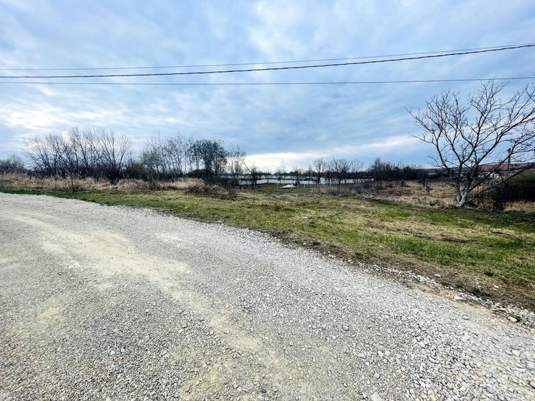 Teren Intravilan cu Front Dublu în Paleu - 1