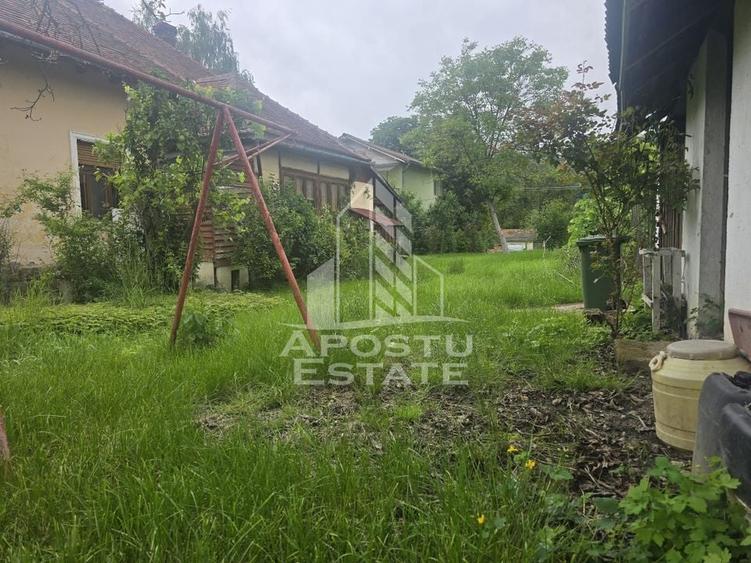 Proprietate cu potential turistic in Gurahont - 24