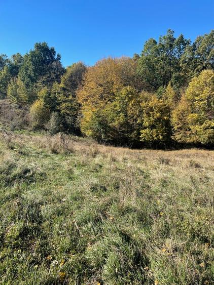 Vand teren intravilan cartier Petrisor - Ramnicu Valcea - 8