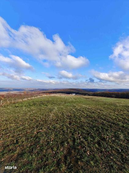 Teren intravilan , acces rapid Oradea - 6