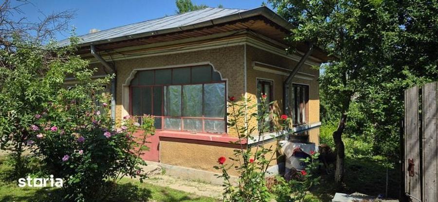 Casa si teren pe marginea deltei Comana - 1