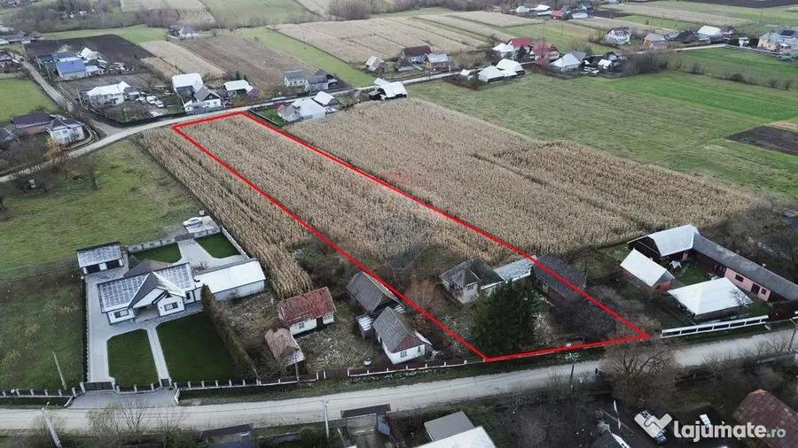 Casa de vanzare in Com Fratautii Noi - 10