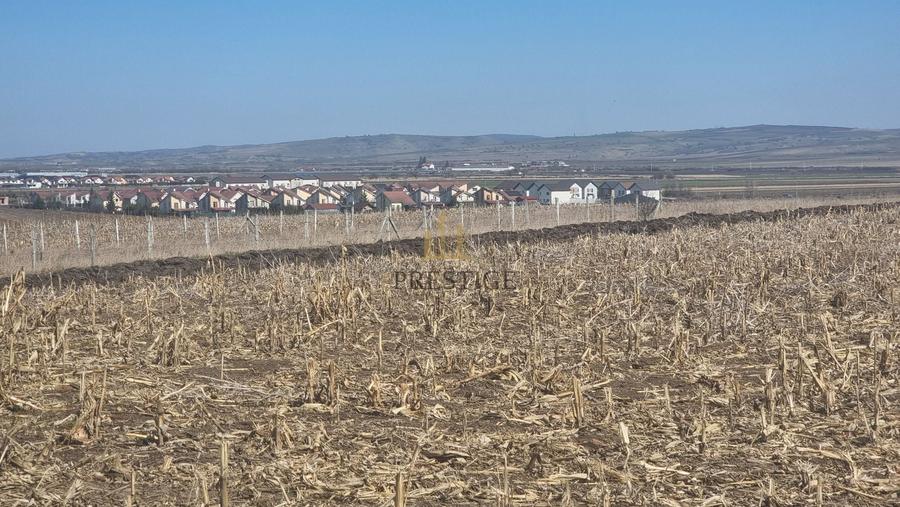 TEREN INTRAVILAN PENTRU CONSTRUCȚIE CASĂ | ȘURA MICĂ | PUZ APROBAT - 4