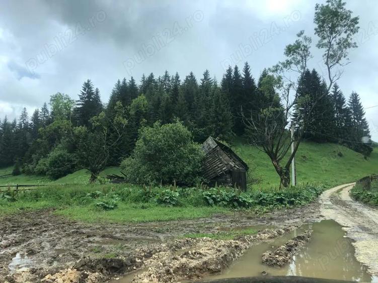 Vanzare teren Fundata - 2