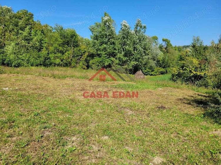 Teren intravilan in Poiana Campina 4285 mp parcelabil 11,6e - 4