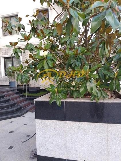 Apartament cu 2 camere semidecomandat în Copou Apartament cu 2 camere semidecomandat în Copou