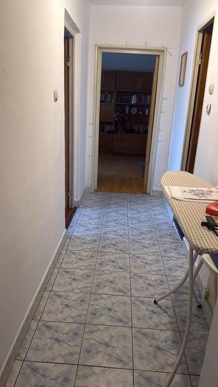 Vadul Nou, Profi - 1