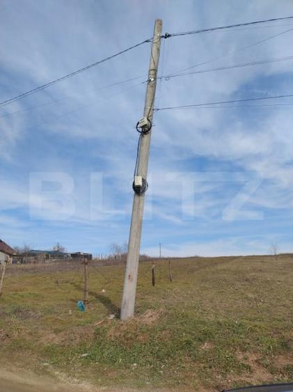 Teren intravilan, Malu Mare, 1469 mp, Aleea I Nucilor - 4