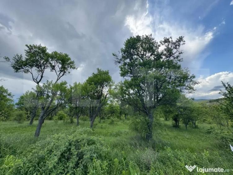 Teren extravilan de vanzare, 5305 mp, in apropiere de Ha?eg - 3