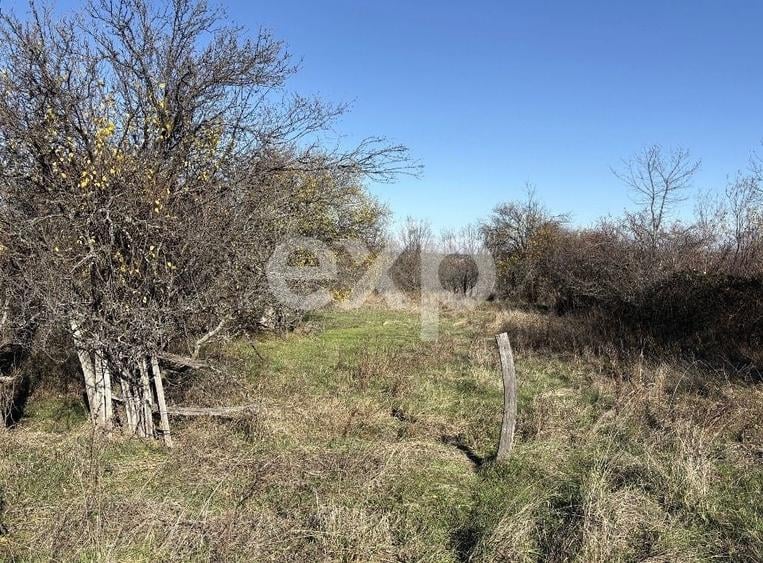 Teren langa padure, liniste, aer curat la 11 km de Pitesti - 2