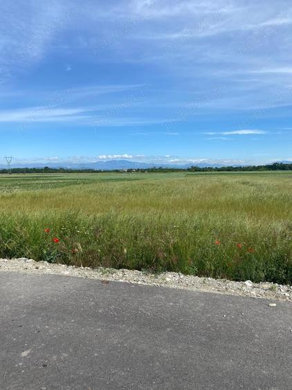 Teren in Galicea, ideal pentru casa sau afacere - 3