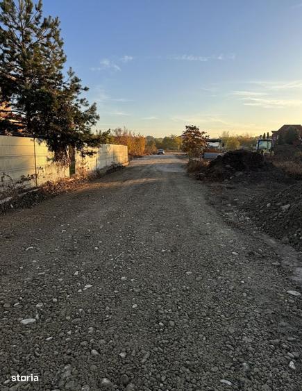 1000mp in Cartier Padurea Baneasa (Drumul Muntele Gaina) - proprietar - 4