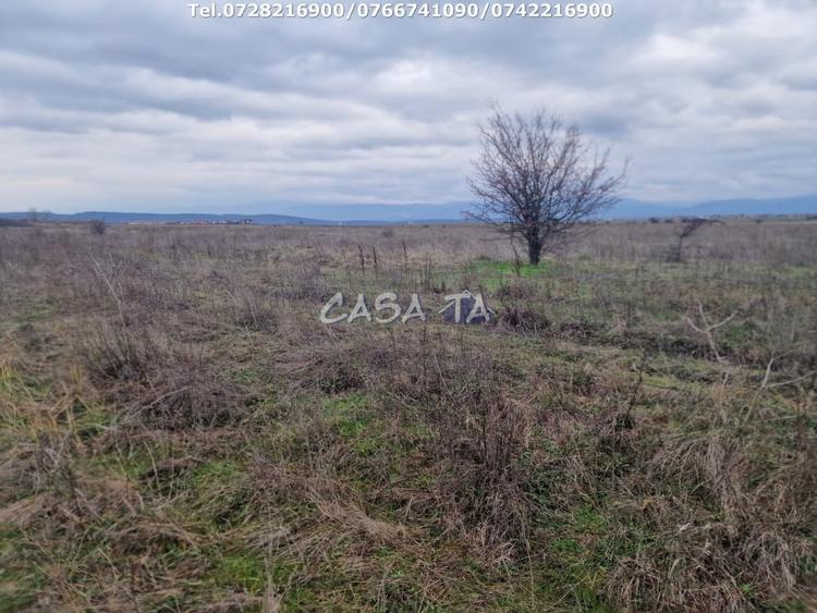 Teren Construcții extravilan de 5900 mp, în Central