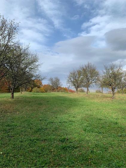 Teren de 6000 mp, în Cetățele