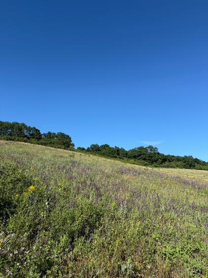 Teren agricol extravilan de 2900 mp, în Jucu