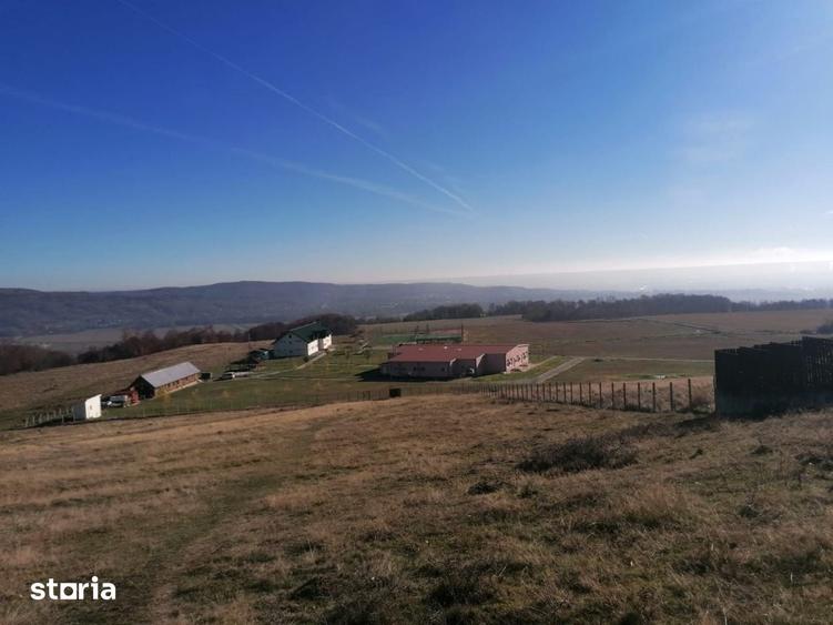 Spațiu comercial, de 2,500 mp, în Micești