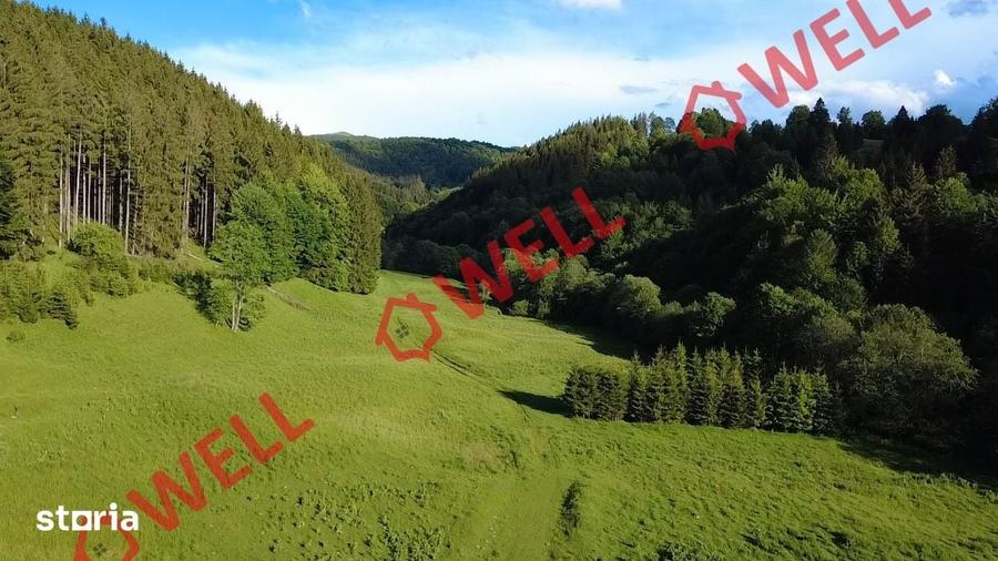 Teren de 57000 mp, în Vama Buzăului