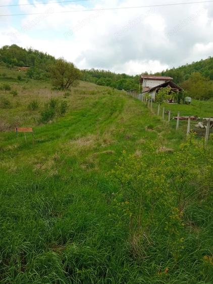 Teren de 2100 mp, în Pestișu Mic
