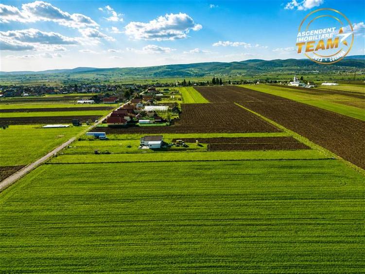 Teren Construcții intravilan de 2498 mp, în Chilieni
