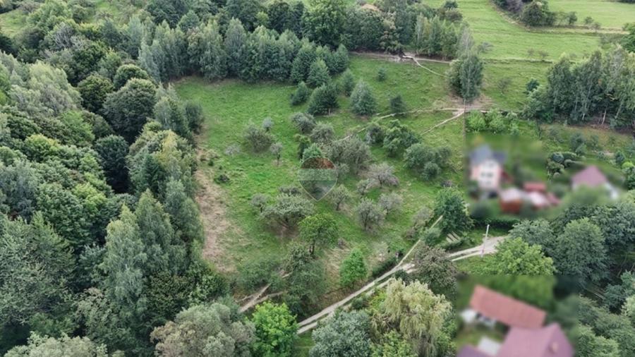 Teren Construcții intravilan de 2700 mp, în Sohodol