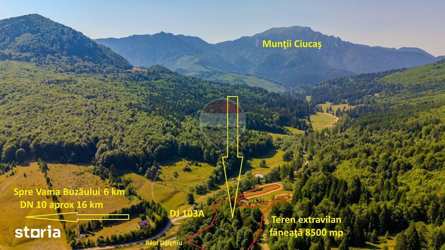 Teren 8500 mp, Valea Dalghiului - Vama Buzaului - vedere catre Ciuca? - 7