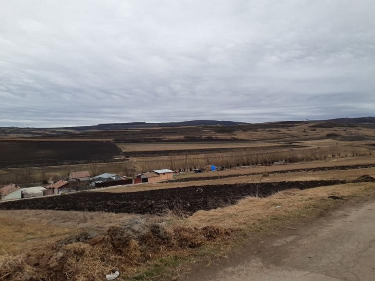 Teren de 61000 mp, în Daia Română