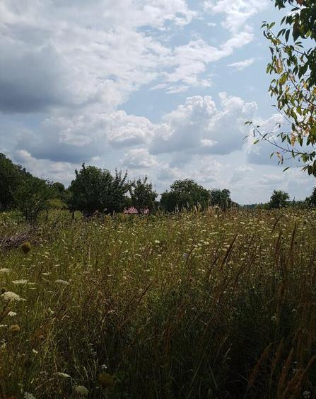 Parava, sat Dragusani, teren 4800mp, la asfalt - 21