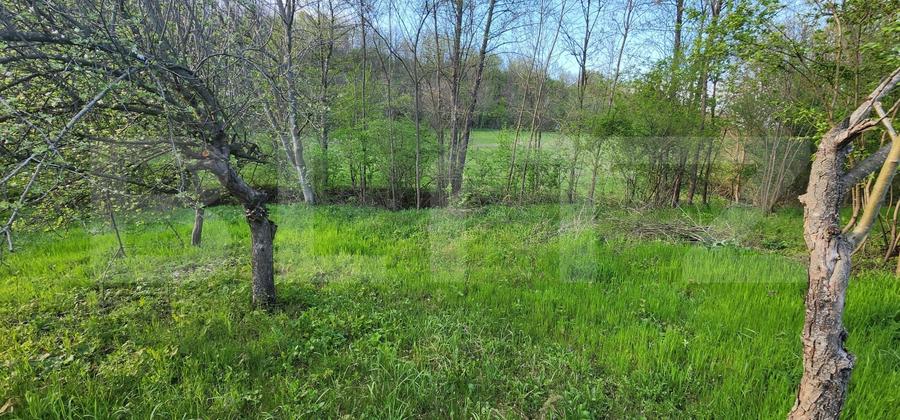 Teren 6650 mp, cu casa nefinalizata de 111 mp, in Nisipoasa. - 5