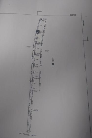 Teren intravilan Salcea Suceava - 1