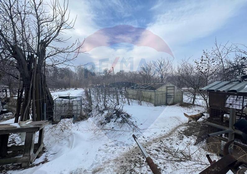 Casa /3 camere Calimanesti - 3