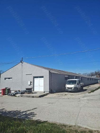 Hala la cheie Zona Vladesti - 7