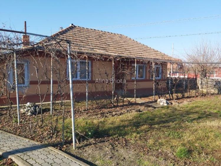 Casa plus teren Andrasesti Casa plus teren Andrasesti