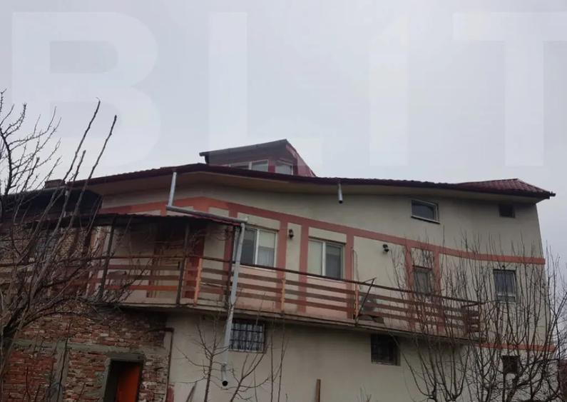 Vand casa si spatiu comercial pe Nicolae Titulescu nr.71 Lug - 4