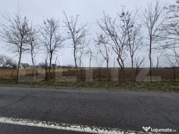 Teren intravilan de vanzare, 2.500 mp, Str Gorunului, zona A - 3