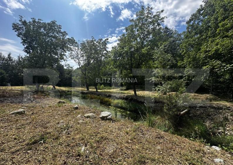 Teren, 12 000 mp, zona Crasna