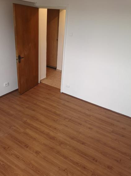 Apartament 3 camere Giurgiului - Luica - 3