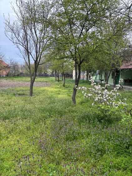 Proprietar unic vând direct, casă/gospodărie completă în comuna Adâncata, IL - 8