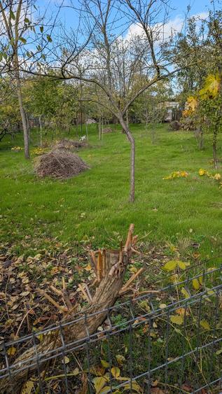 Casa de vanzare Movila(Ialomita) 1877mp - 9