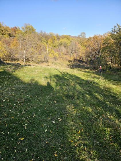 Loturi de Vanzare! - 8