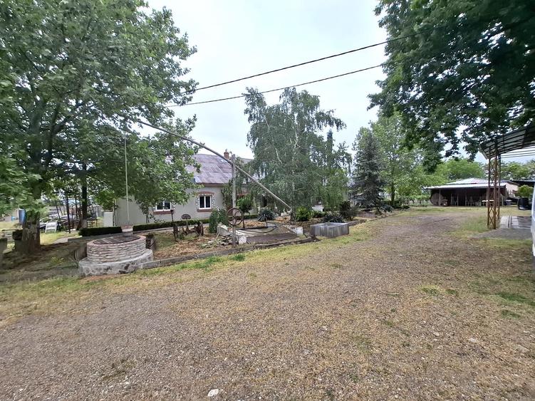 CRAMĂ FUNCȚIONALĂ DE VÂNZARE   ÎN INIMA PODGORIEI ODOBEȘTI (VRANCEA) - 4