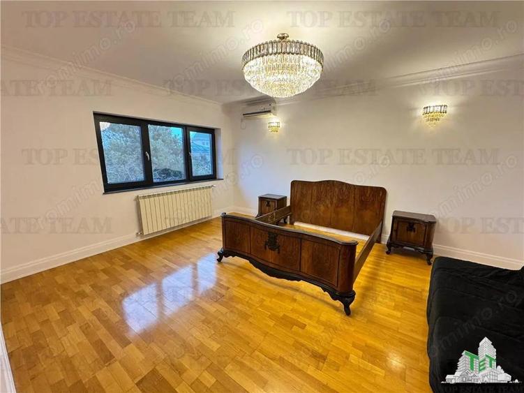 Vila pretabila rezidenta office Iancu Nicolae - 15