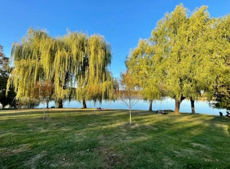 Vanzare apartament cu 3 camere 90 mp utili, în Residenz, Cartierul German! - 26