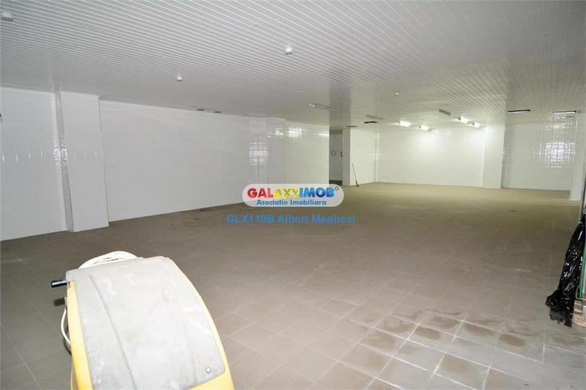 Inchiriere vanzare spatiu productie alimentara P-ta Delfinului - 6